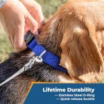 Custom Embroidered Dog Collar with Pet Name