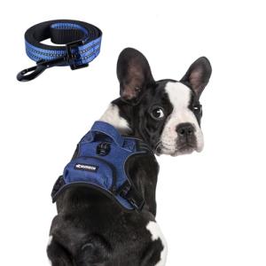 Adjustable No Pull Dog Harness with Leash