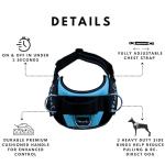 No-Pull Dog Harness with Leash Clips and Patches