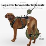 Heavy Duty No Pull Dog Harness for Large Dogs