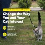 PetSafe Kitty Harness and Bungee Leash - Lilac