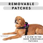 No-Pull Dog Harness with Leash Clips and Patches