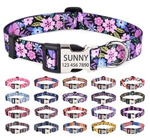 Personalized Floral Dog Collar with Name & Number
