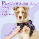 Rabbitgoo No Pull Dog Harness, Small, Purple