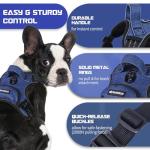 Adjustable No Pull Dog Harness with Leash
