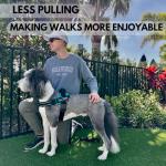 No-Pull Dog Harness with Leash Clips and Patches