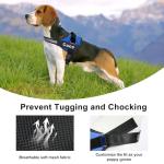 Custom Reflective Dog Harness with Name & Phone