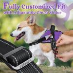 Rabbitgoo No Pull Dog Harness, Small, Purple