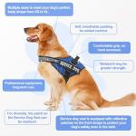 VOOPET Service Dog Harness with ID Tag & Leash