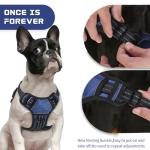 Adjustable No Pull Dog Harness with Leash