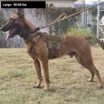 ICEFANG Tactical Dog Harness with ID Patch Panel