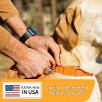 Personalized Reflective Dog Collar with Name