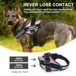 Custom Reflective Dog Harness with Name & Phone