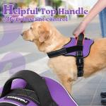 Rabbitgoo No Pull Dog Harness, Small, Purple