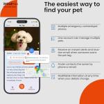 Personalized Reflective Dog Collar with QR Code