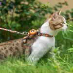 Escape-Proof Cat Harness and Leash Set