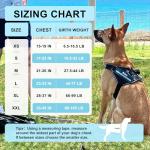 Custom Reflective Dog Harness with Name & Phone