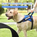Voopet Reflective No-Pull Dog Harness with ID Pocket