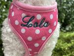 Custom Pink Dog Harness with Name and Leash