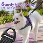 Rabbitgoo No Pull Dog Harness, Small, Purple