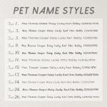 Personalized Stainless Steel Pet ID Tags - Small