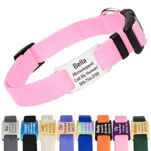 Personalized Pink Dog Collar with Engraved ID Tag