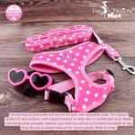Custom Pink Dog Harness with Name and Leash