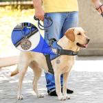 VOOPET Service Dog Harness with ID Tag & Leash