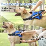 Voopet Reflective No-Pull Dog Harness with ID Pocket
