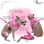 Custom Pink Dog Harness with Name and Leash
