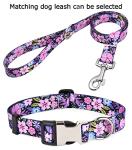Personalized Floral Dog Collar with Name & Number