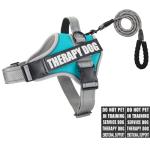 Reflective Dog Vest Harness and Leash Set