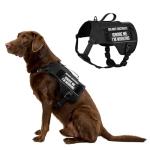 OneTigris Pink Service Dog Vest with Pockets