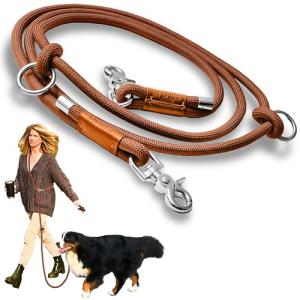 Hands-Free Dog Leash for Walking and Running