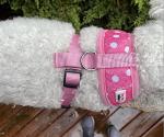 Custom Pink Dog Harness with Name and Leash
