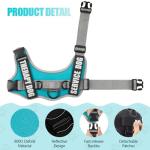 Reflective Dog Vest Harness and Leash Set