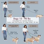 Hands-Free Dog Leash for Walking and Running