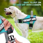 Reflective Dog Vest Harness and Leash Set