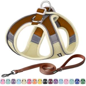 No Pull Dog Harness and Leash Set