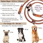 Hands-Free Dog Leash for Walking and Running