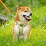No Pull Dog Harness and Leash Set