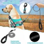 Reflective Dog Vest Harness and Leash Set