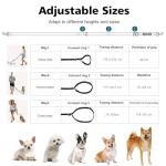 Tivray Adjustable Hands-Free Dog Leash - 8.5ft