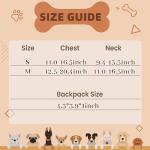 Personalized Dog Harness and Backpack Leash Set