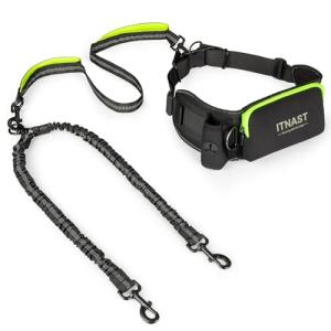 Hands-Free Bungee Dog Leash for Two Dogs