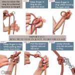 Hands-Free Dog Leash for Walking and Running