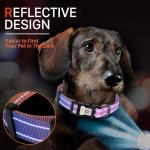 Personalized Reflective Dog Collar with QR Code