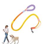 Hands-Free Dog Leash with Dual Handles