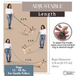 Hands-Free Dog Leash for Walking and Running