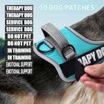 Reflective Dog Vest Harness and Leash Set